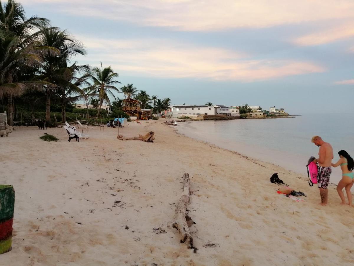 Hotel Miss Bassy'S Lodging San Andrés Exterior foto